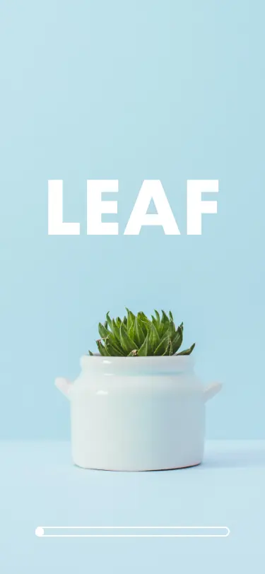 Page de chargement début