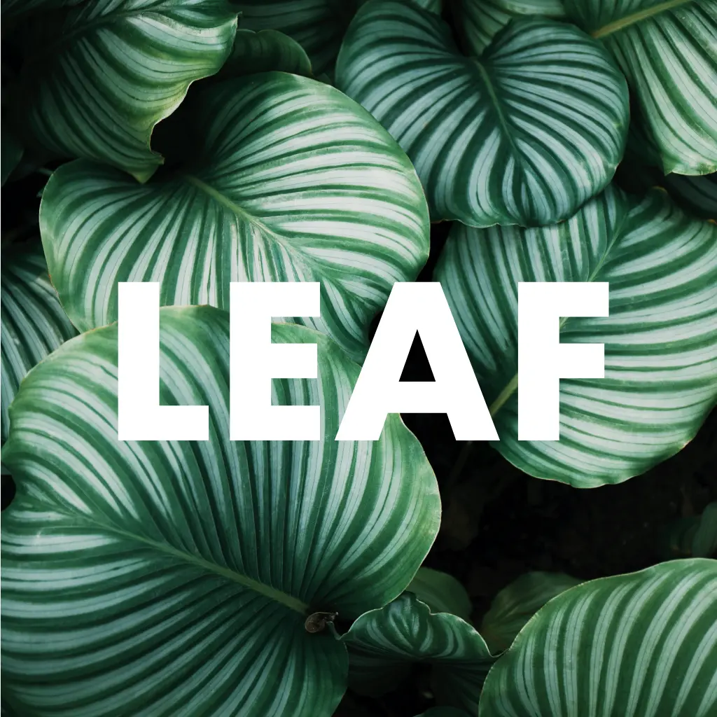 Logo LEAF