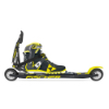 2008 - Roller Ski
